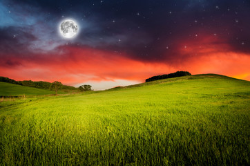 Fototapety na wymiar - Fototapeta24.pl