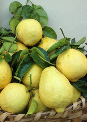 basket of fresh lemons on Amalfi Coast