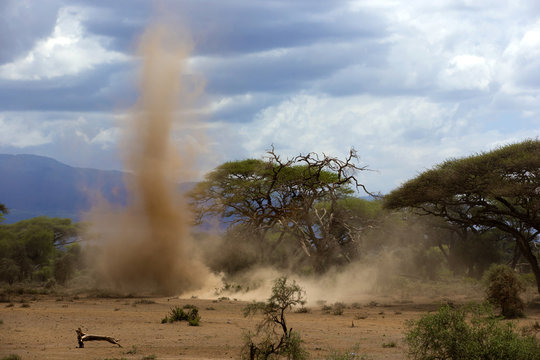 Sandstorm in  national park, kenya