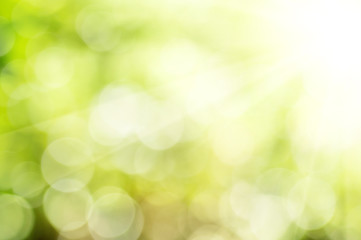 Fototapeta premium Naturalne bokeh