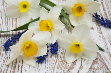 Obraz na płótnie Canvas Spring flowers