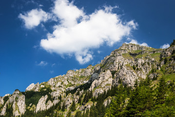 Carpathian Mountains, Romania