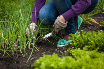 photo of woman digging out onion with spade