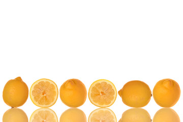 レモンのフレーム