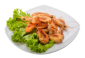 Big tiger shrimps