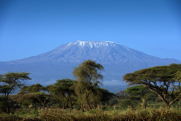 Snow on top of Mount Kilimanjaro in Amboseli - obrazy, fototapety, plakaty