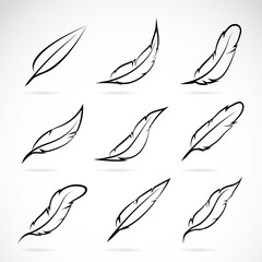 Vector group of feather. Easy editable layered vector illustration.