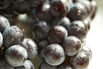 Grapes