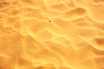 Sand Pattern on Deserts
