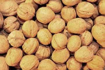 Pile of walnuts, agriculture background