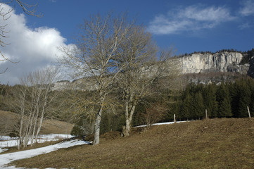 Le plateau, Parc naturel régional du Vercors, 38, Isere