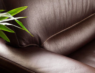 Leather Sofa with Plant