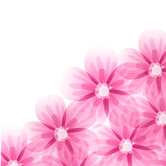 Background with pink transparent flowers, vector illustration