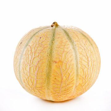 melon