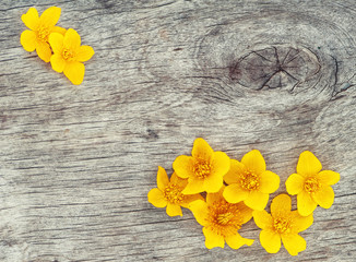 Yellow flowers on the old wood
