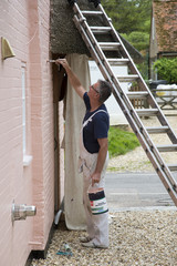 Painter painting a house