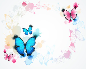 butterfly background - 65134966
