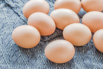 Chicken brown eggs