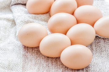 Chicken brown eggs