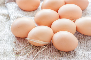 Chicken brown eggs