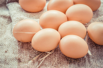 Chicken brown eggs