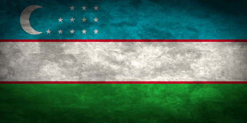 Uzbekistan grunge flag