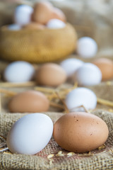 Huevos frescos de corral ecológicos de primera calidad