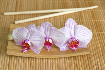 Orchids on bamboo mat abstract asian food unique concept