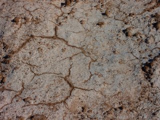 sand in desert