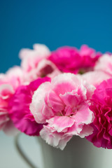 カーネーション