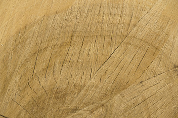 Fototapeta premium Holzstruktur 1