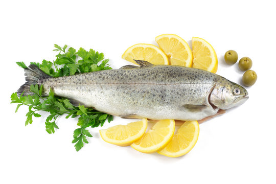 Fresh trout with parsley, lemon and olives isolated on white