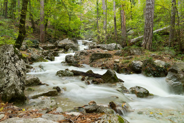 Stream of the mountain river ( long exposure )