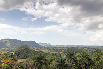 Vinales Valley