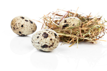 quail egg in nest isolated on white background