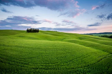 Wandaufkleber Toscana, paesaggio rurale con cipressi al tramonto © ronnybas