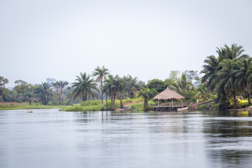 Beautiful tropic scenics