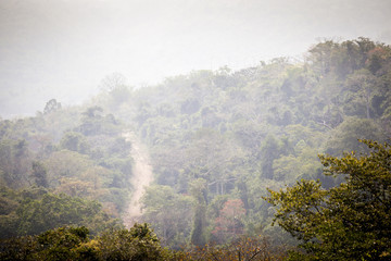 Dirt road through african jungle