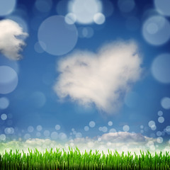 Obraz premium Spring nature background