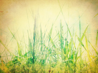 Vintage nature background