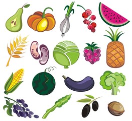 Collection of  various fruits and vegetables