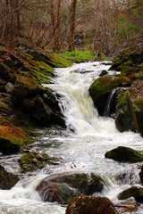Fototapeta premium Small waterfall in Quebec forest during the spring