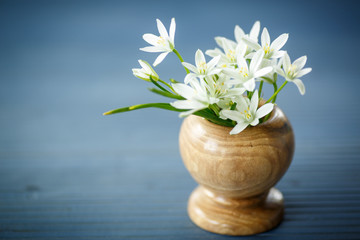 Naklejka na ściany i meble beautiful bouquet of white flowers