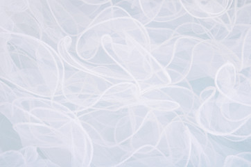 veil on the full frame 0938