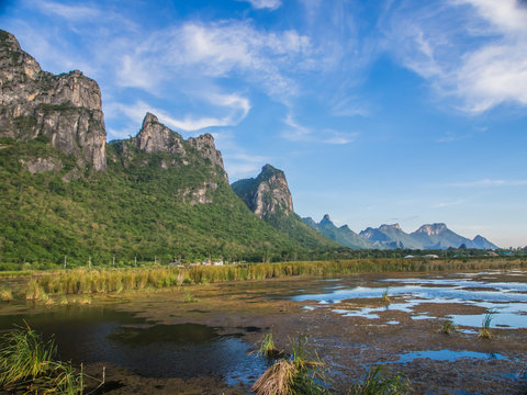 widely marsh with reeds and moutain