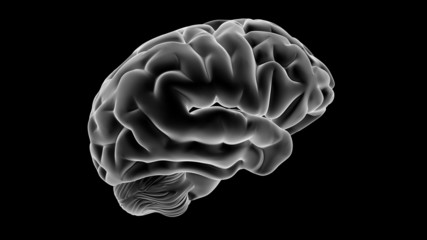 Obraz premium Xray Brain