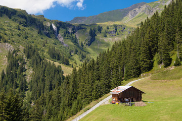 Fototapeta na wymiar Hut in the Swiss Alps