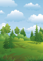 Obraz premium Landscape, green summer forest