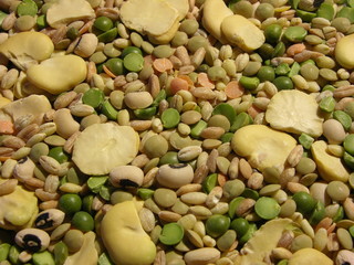 mix di legumi e cereali