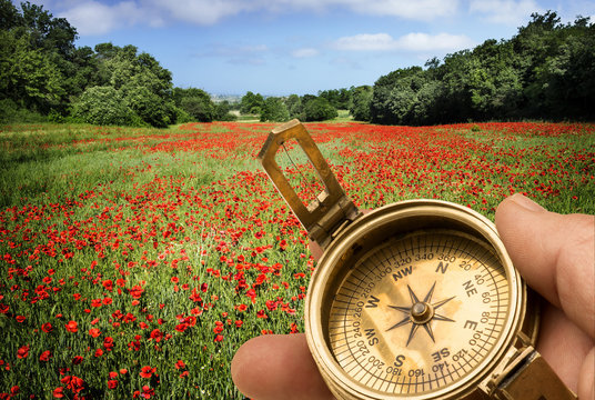 traveller with compass in the field of poppies